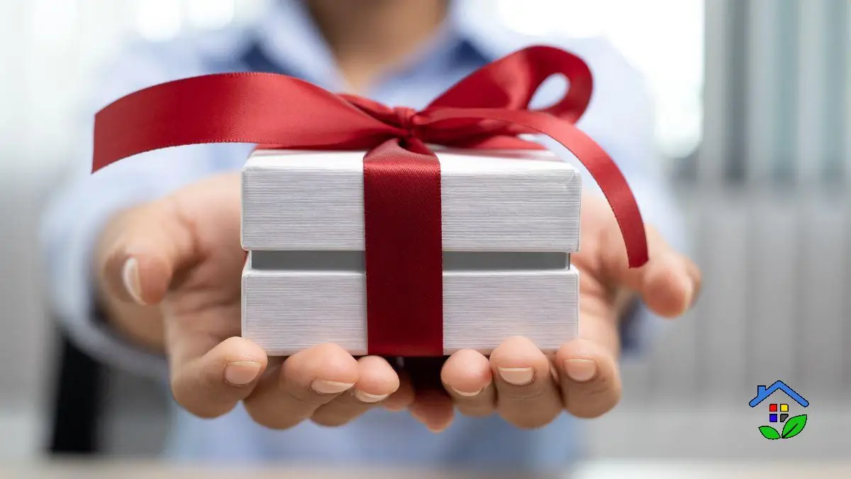 Affordable Gift Ideas That Bring Joy