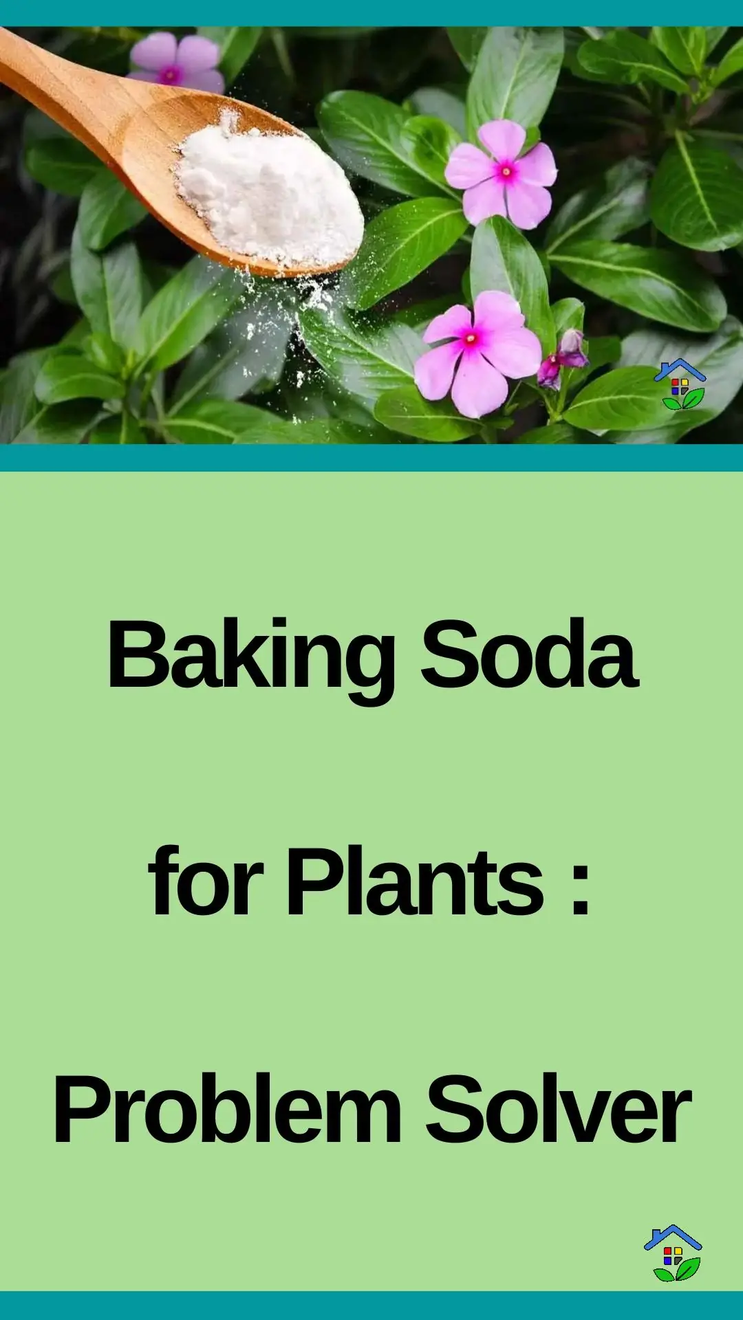 Green thumb secret: 5 baking soda data-pin-id=938648747318680613
