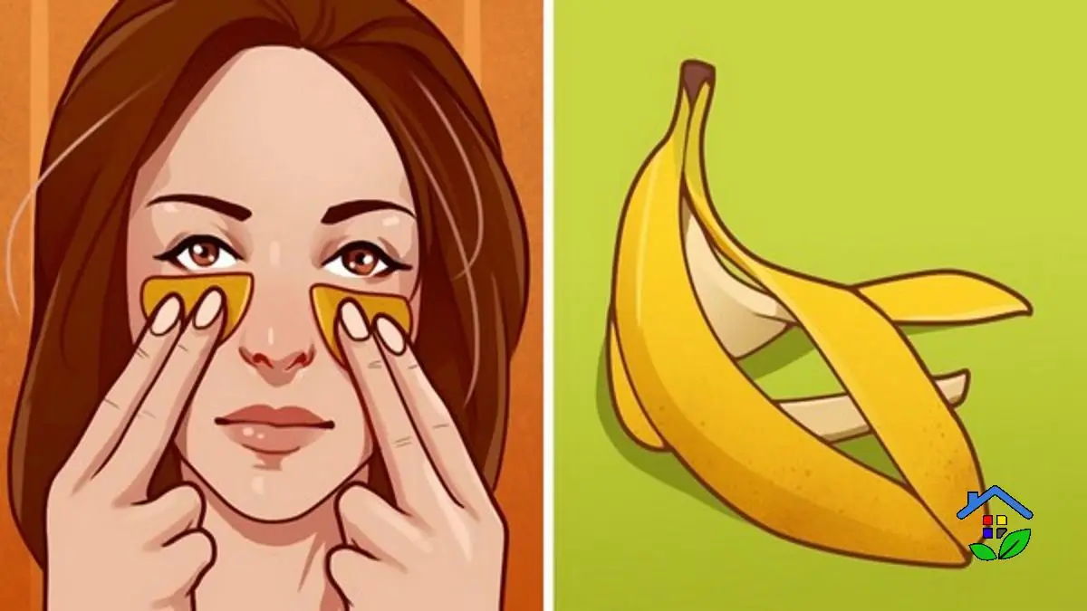 Banana Peels : 7 Creative Ways to Reuse