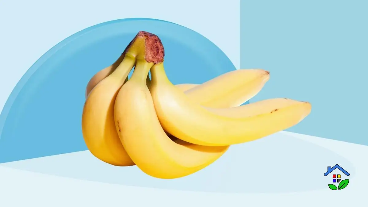 The Golden Equation A Guide to Bananas That Never Turn Brown