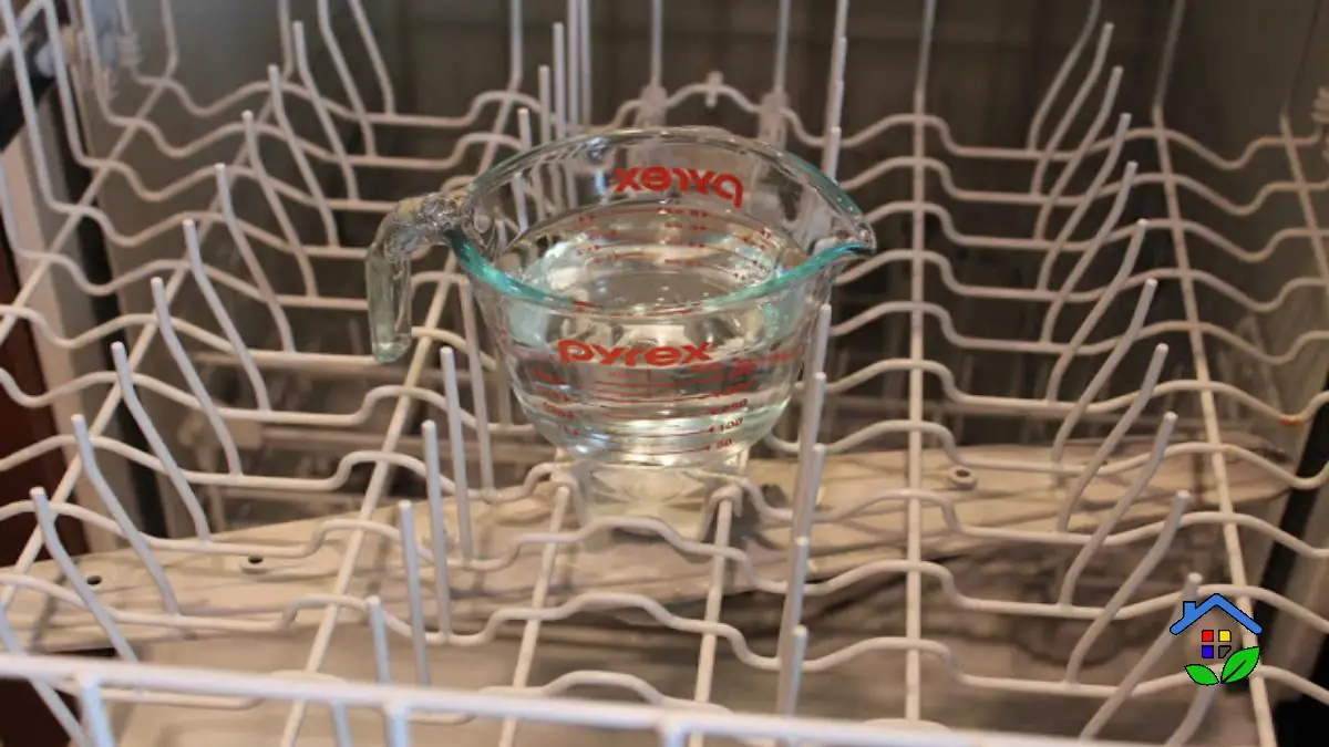 ChemicalFree Deep Clean Your Dishwasher Naturally!