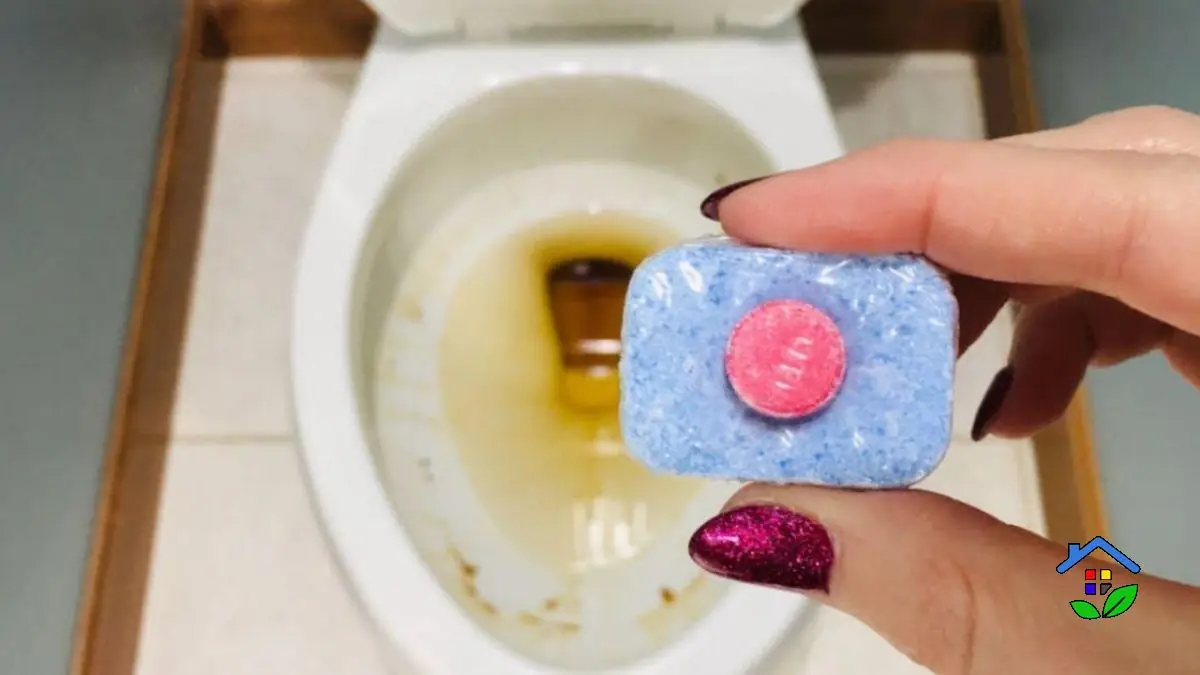 Restore Your Home Appliances With 1 Ingredient Dishwasher Tablets