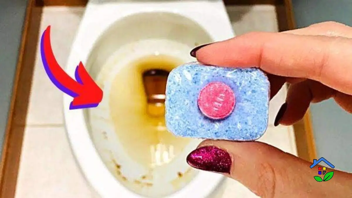 Dishwasher Tabs Your Toilet's Secret Shine Booster!