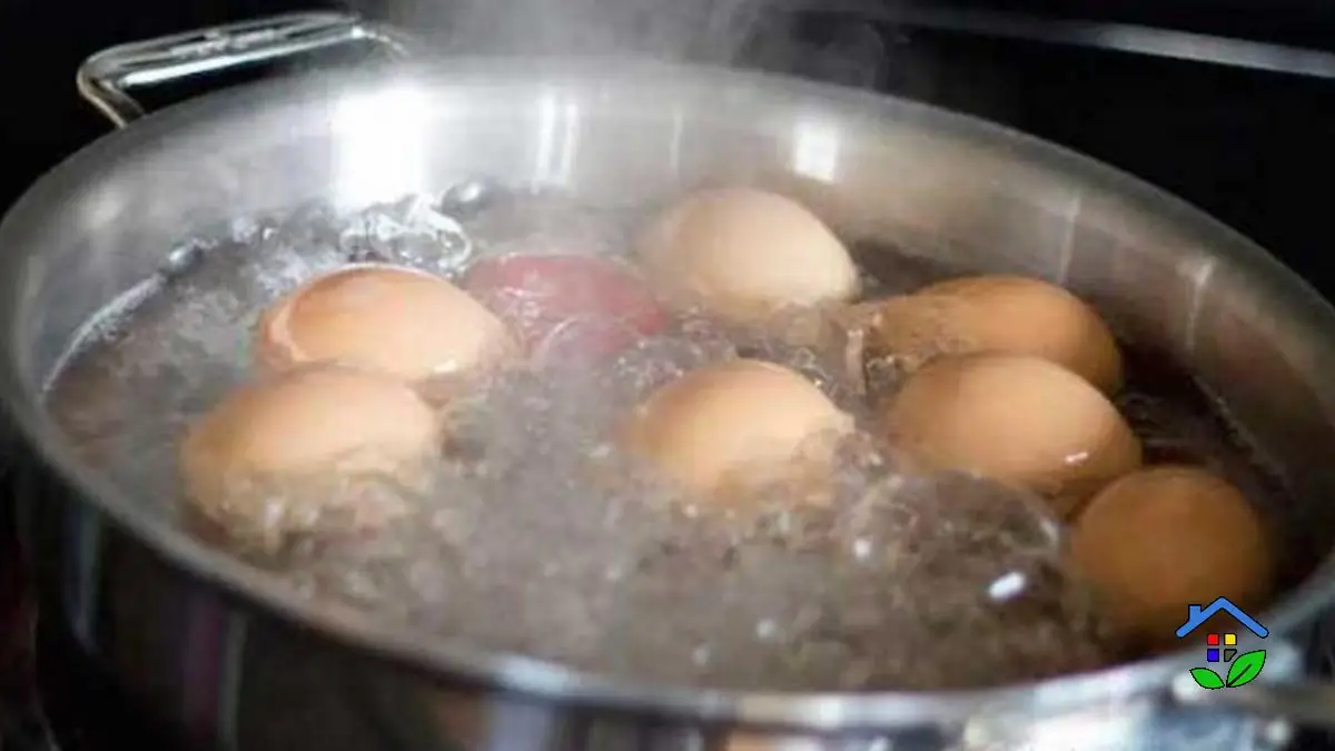 Don't Pour It Out 4 Surprising Benefits of Egg Water