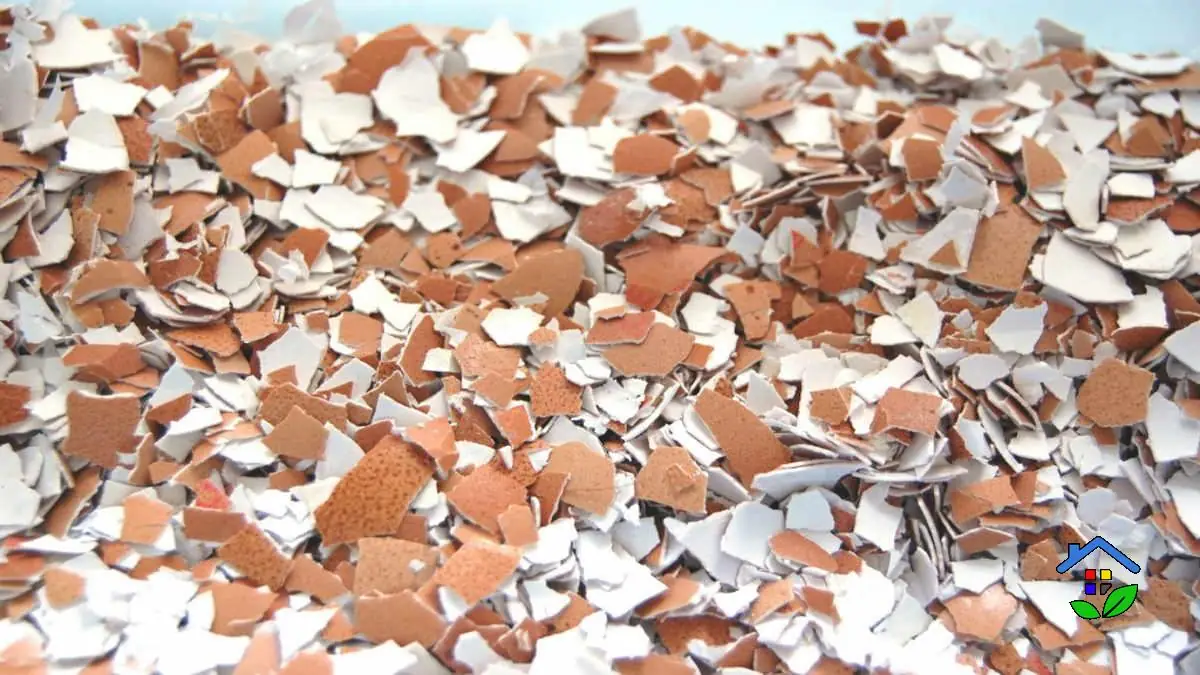 No More Waste with These 7 Eggshell Uses