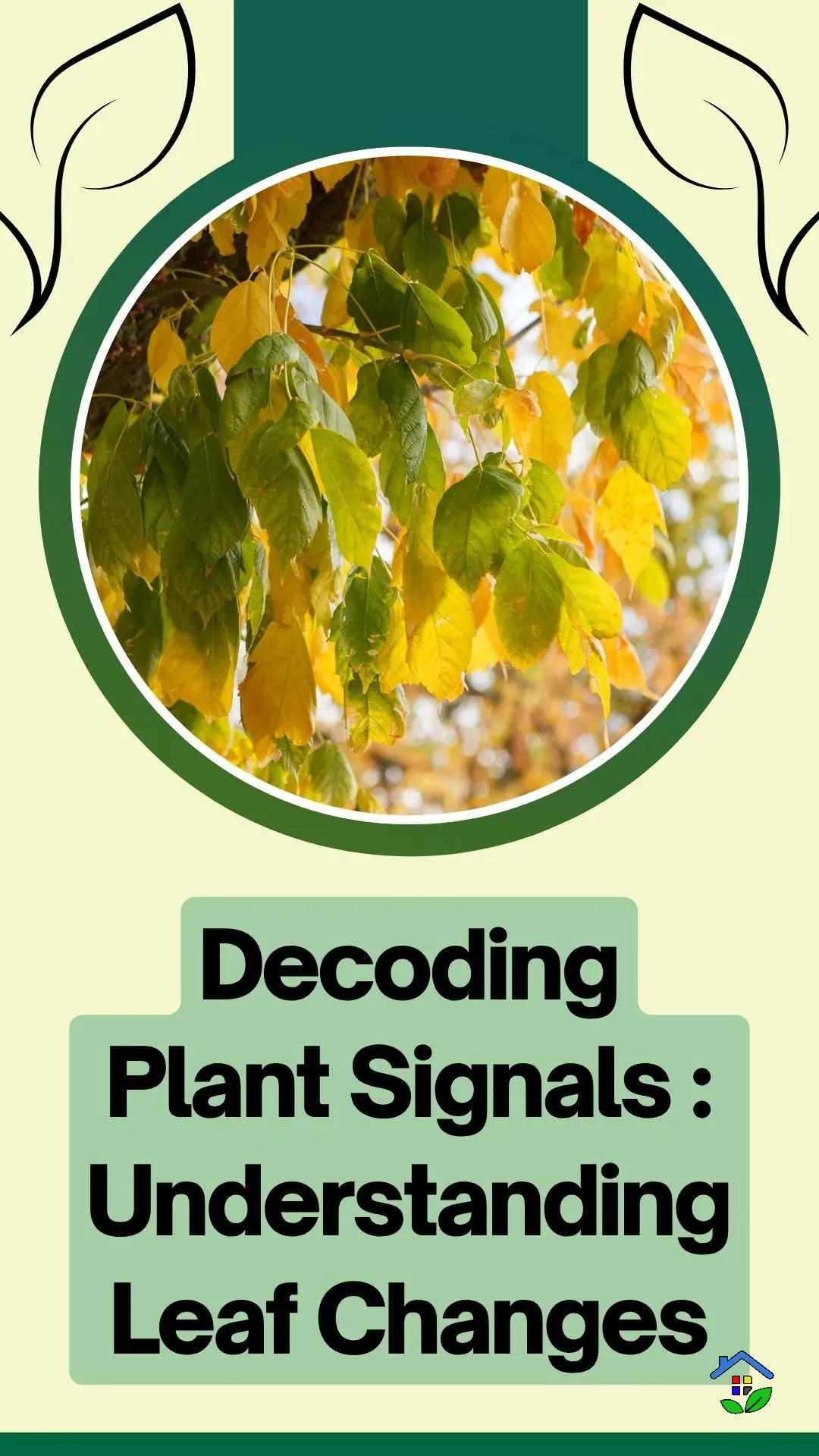 Leaf Talk: How Plants Communicate Their Needs
