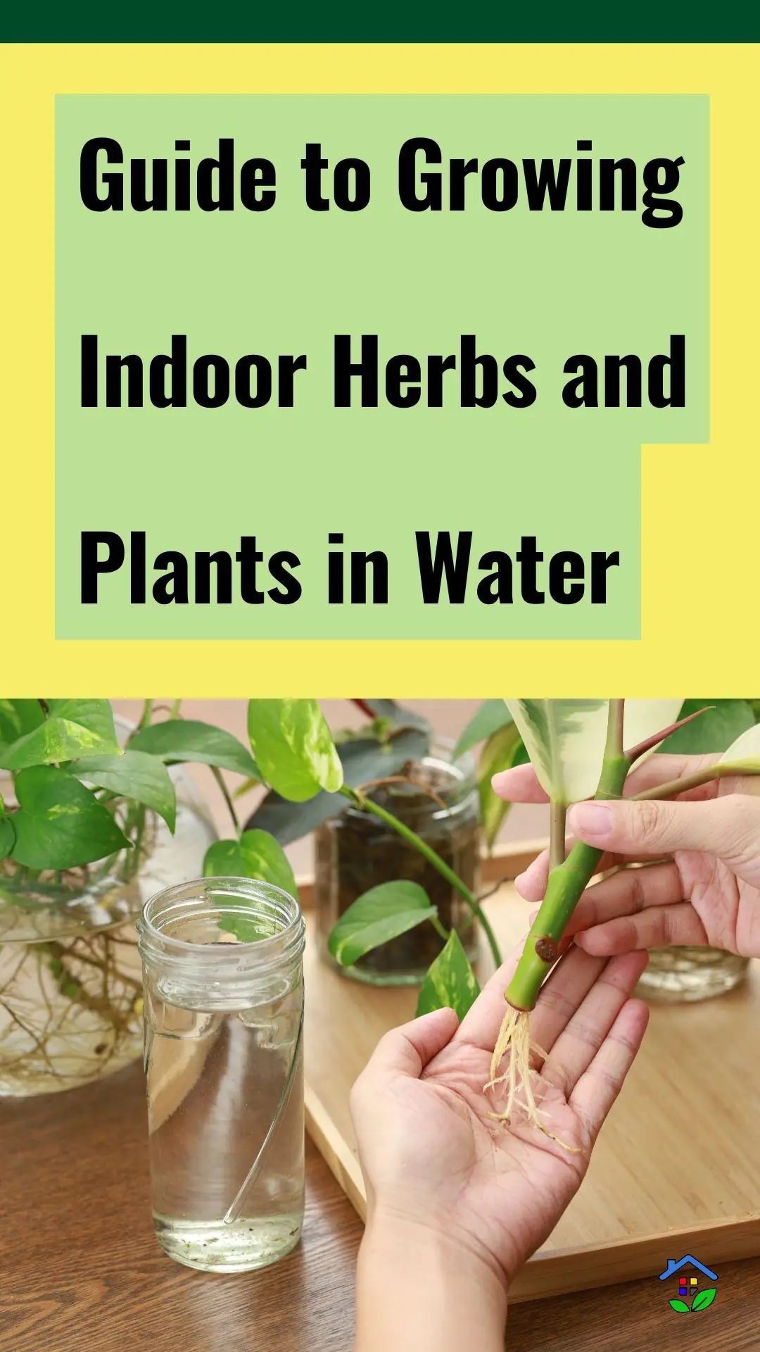 Herbs and indoor plants for hydroponic growth data-pin-id=938648747337086737