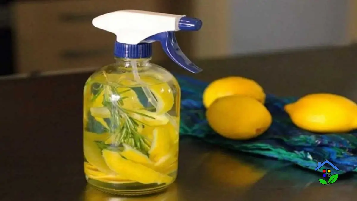 Freshen Up Naturally 3 Lemon Home Deodorizer Recipes