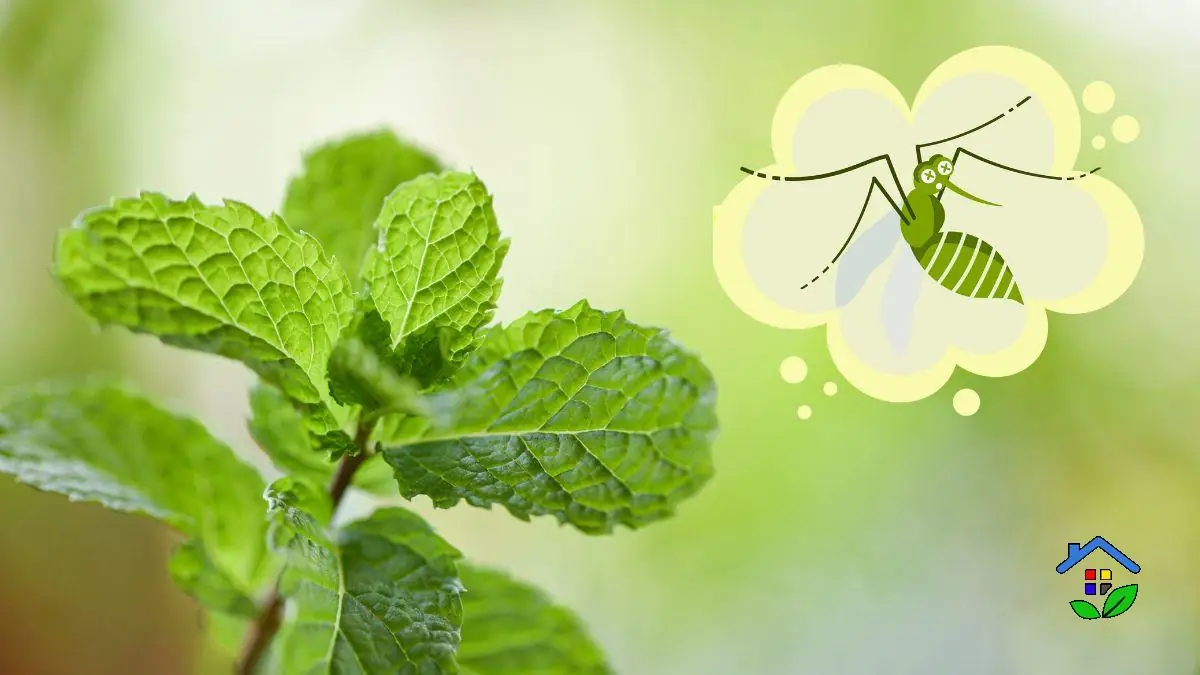 Keep Your Garden Bug-Free with These 10 Natural Insect-Repelling Plants