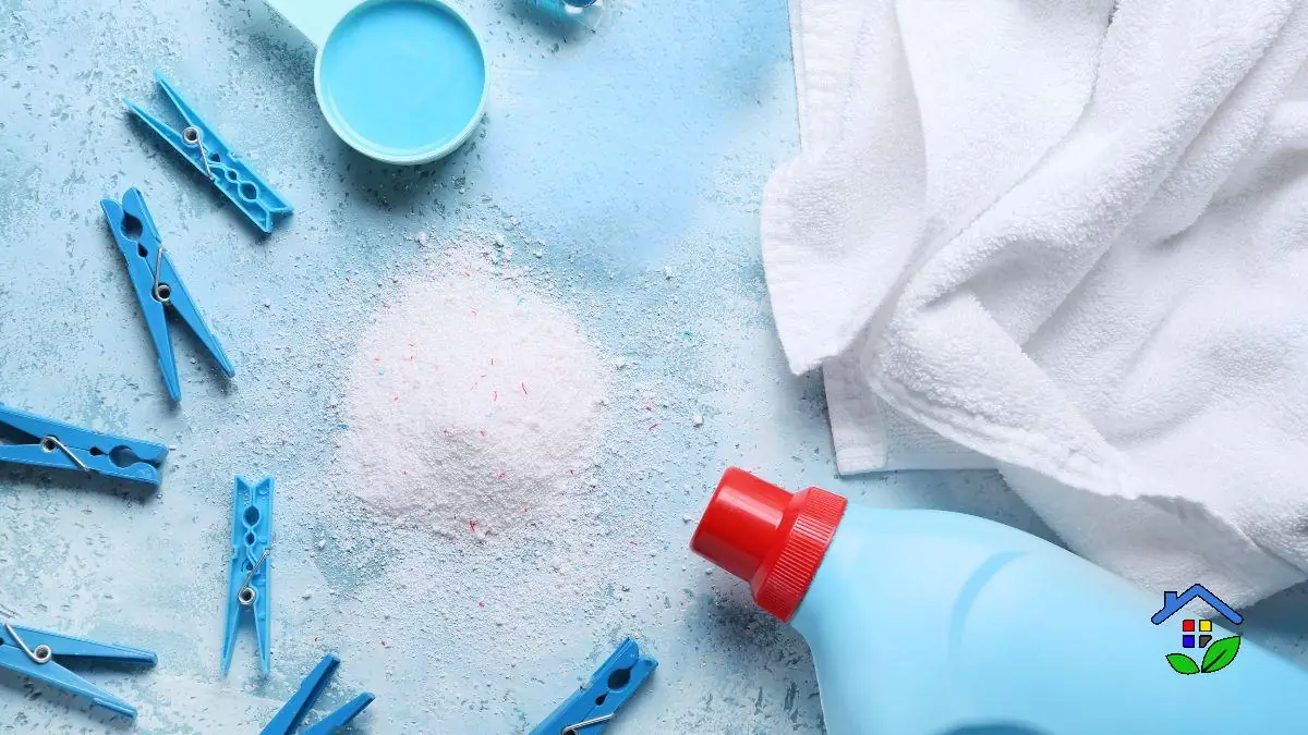 Powder Detergent vs Liquid Detergent: Which One Should You Choose?