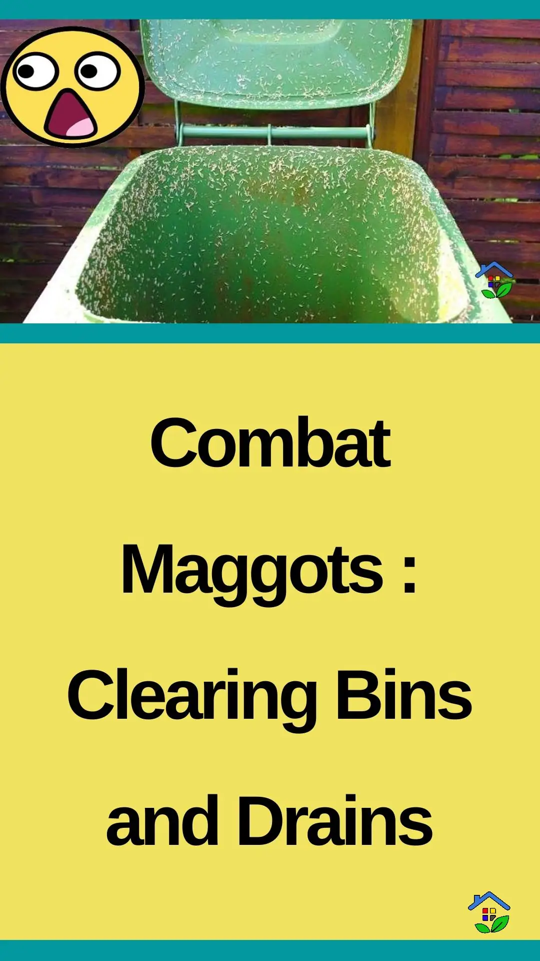 Trash can & drain maggot remedies to restore hygiene data-pin-id=938648747318776723