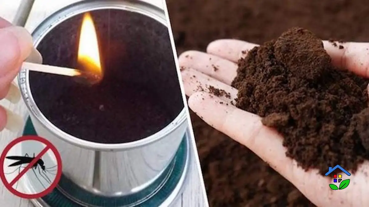 Natural Mosquito Repellent Harnessing Coffee Grounds