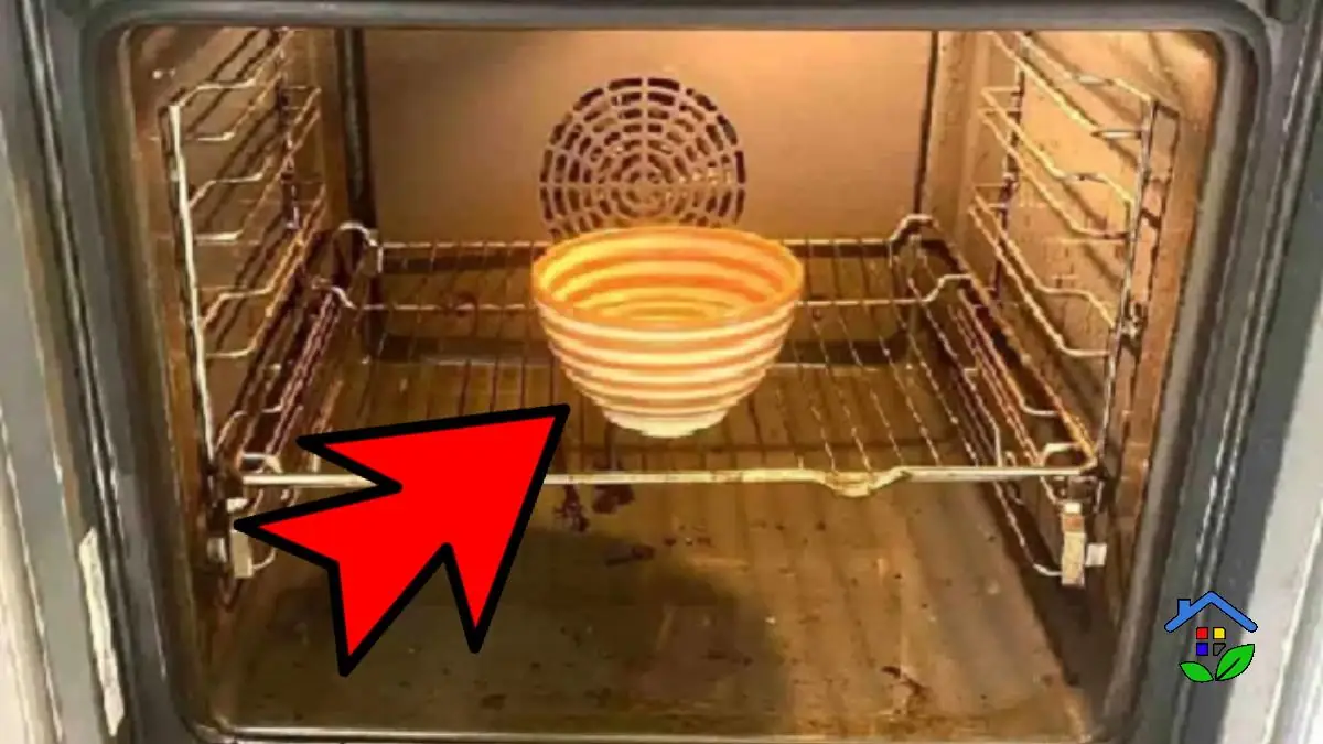 HassleFree Oven Cleaning Effective Tips to Remove Burnt Fat