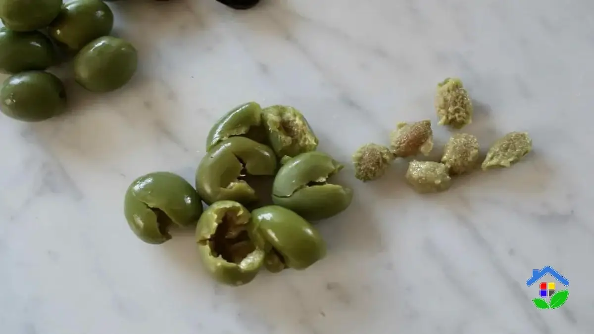 How to prepare olive seeds for germination