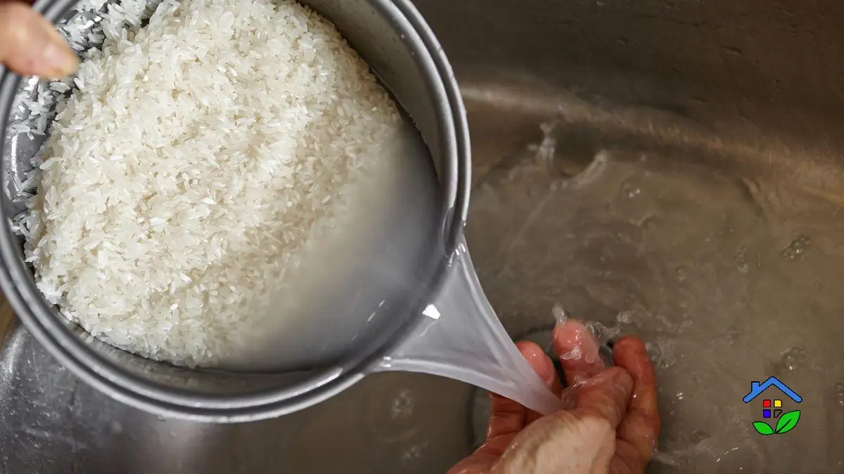 Genius Uses for Rice Cooking Water