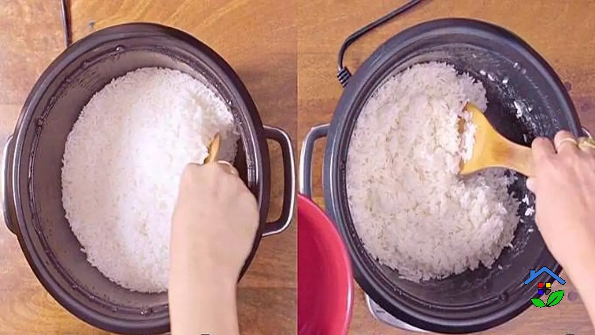 Rinsing Rice 3 Key Facts You Shouldn't Miss