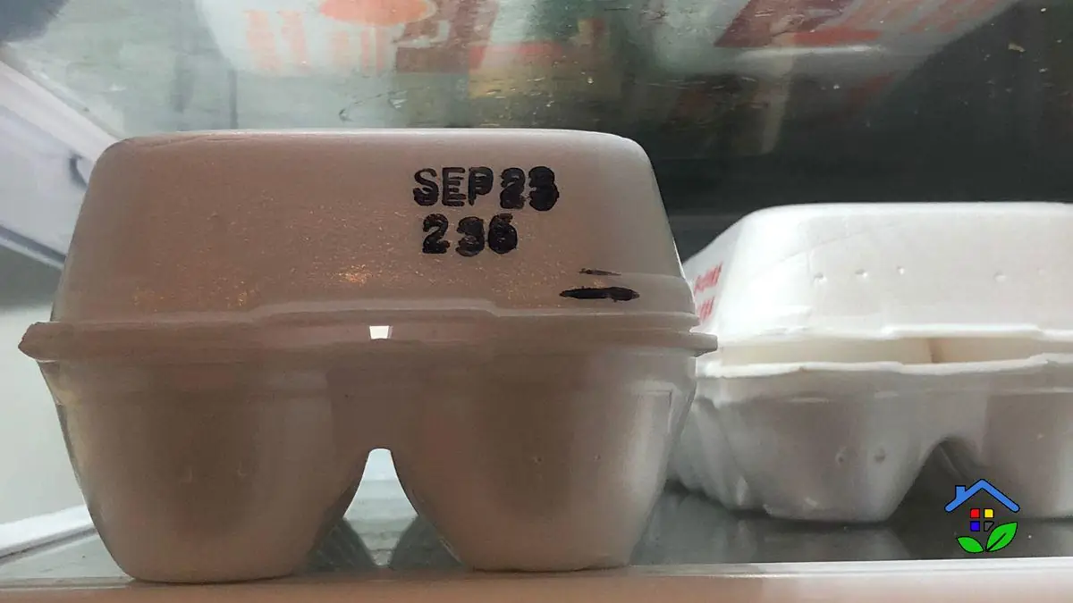 Is It Safe to Eat Eggs After Their Expiration Date?