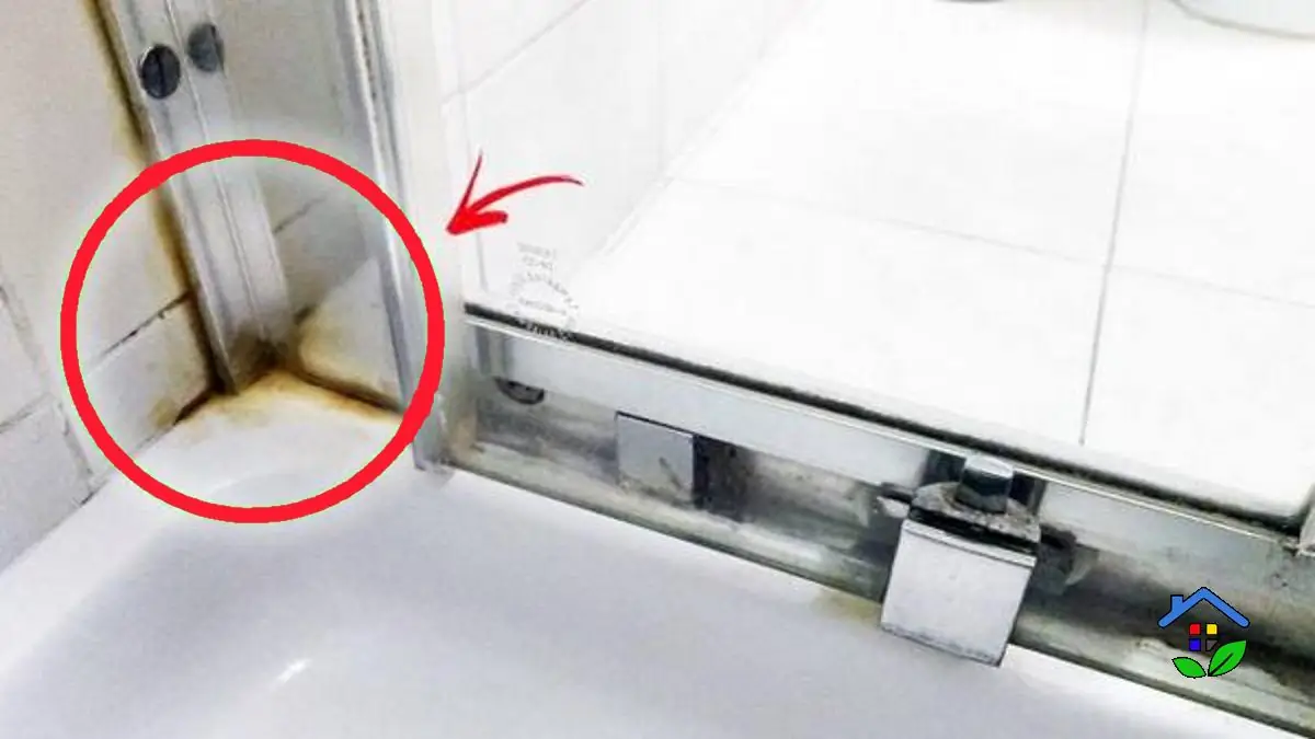 Shower Mold Busters How to Eliminate Mold from Shower Seals