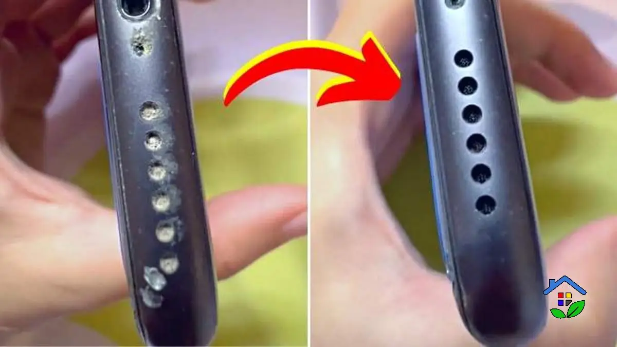 Shine and Sparkle 3 Easy Ways to Dust Off Your Smartphone