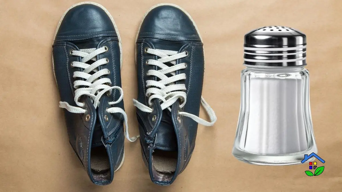 Smelly or Damp Shoes? Here’s What Salt Can Really Do