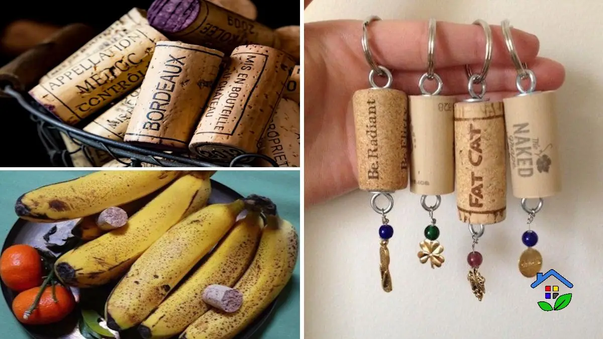 Cork Crafted 10 Unique Uses for Spare Corks