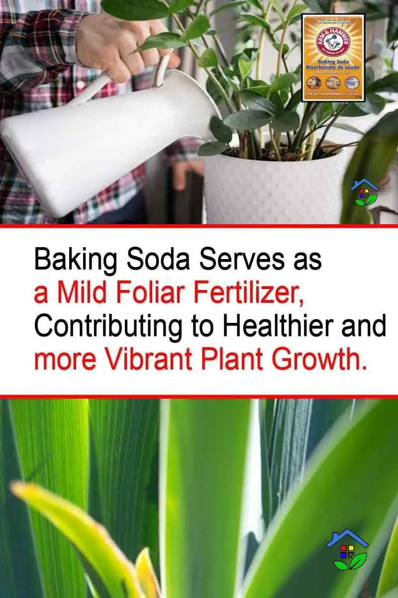 Utilizing baking soda as an insecticide