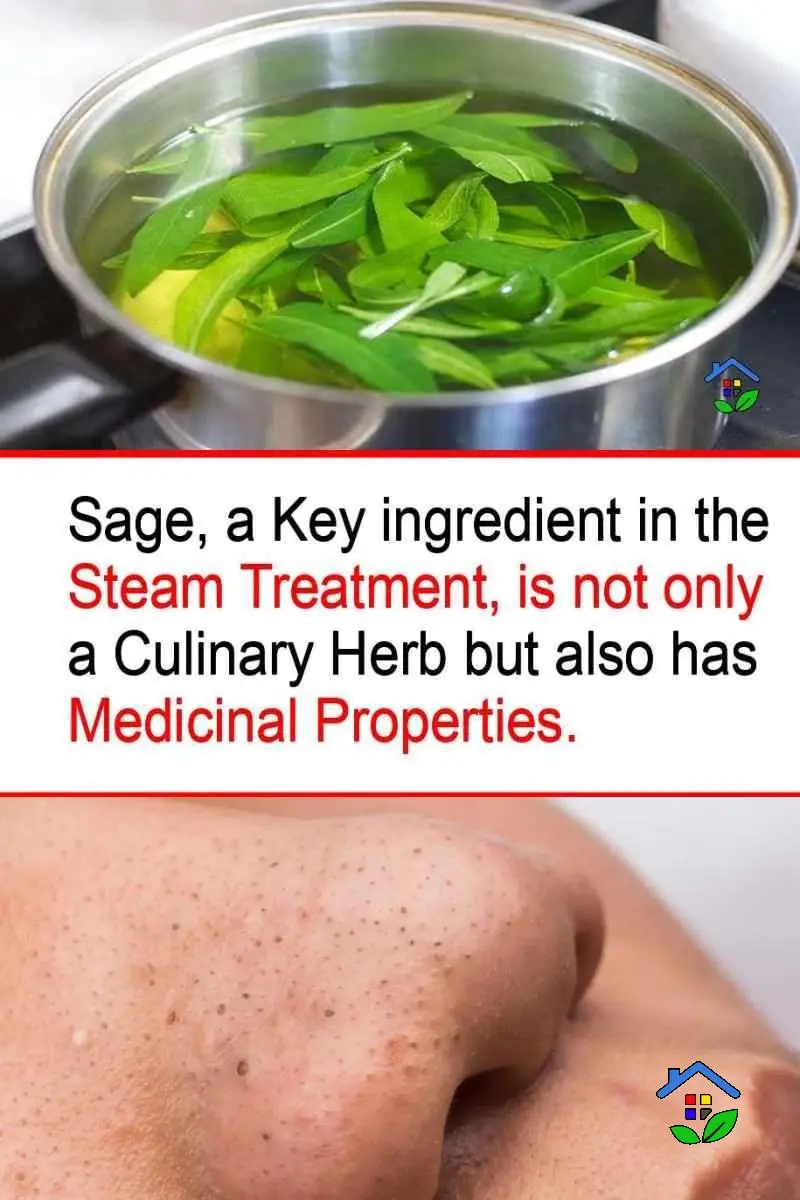 Blackhead treatment with sage leaves
