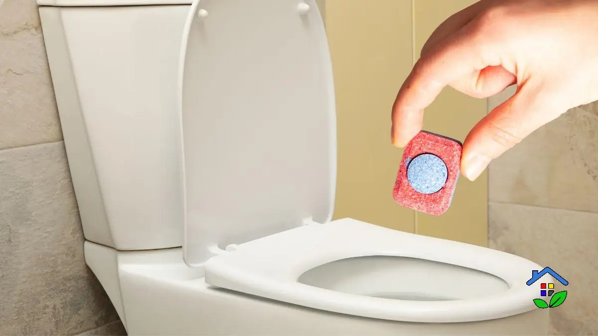 Make Your Toilet Shine with a Dishwasher Tablet in 4 Steps