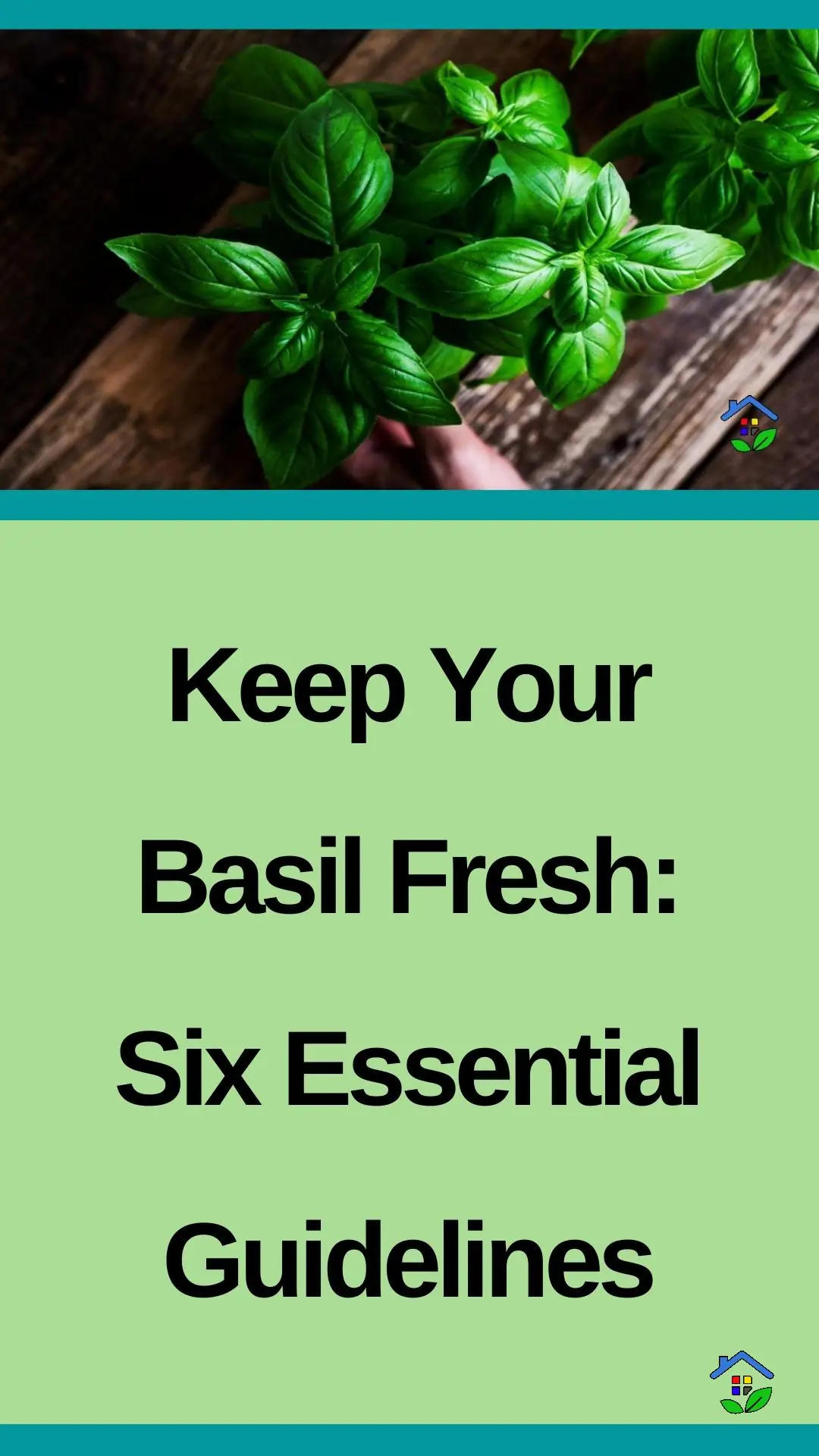 Maximize basil's freshness: 6 handy hints data-pin-id=938648747318400373