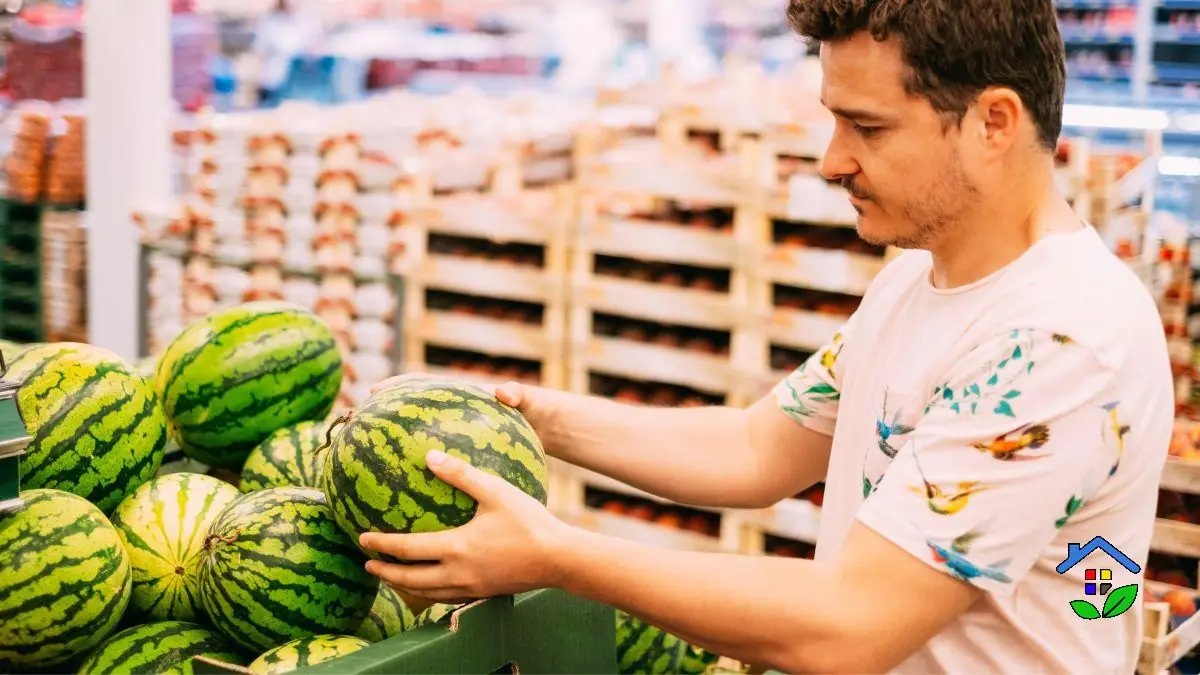 Tips to Choose a Ripe and Sweet Watermelon