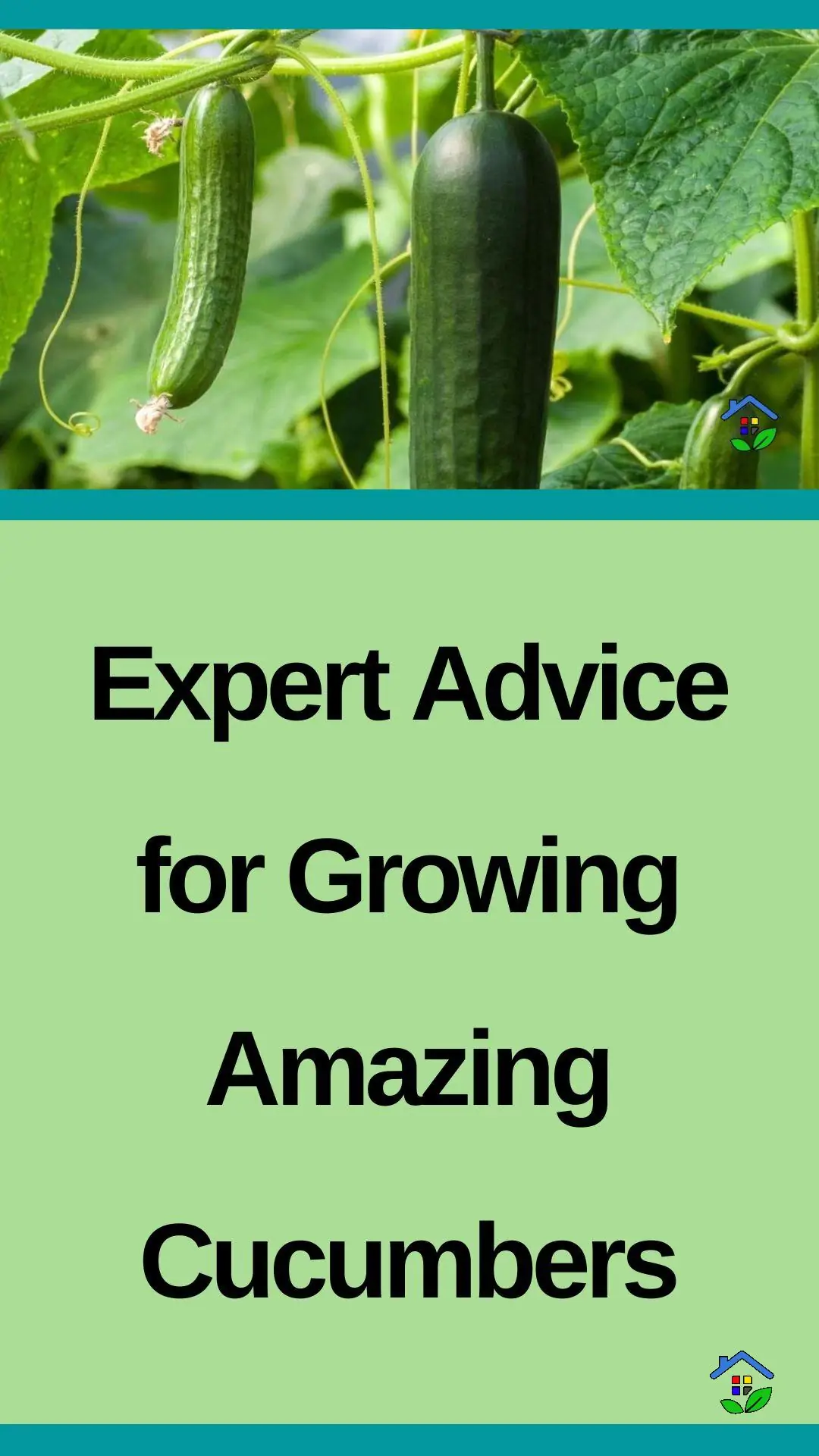From Seed to Slice: The Ultimate Guide to Growing Cucumbers data-pin-id=938648747317002808