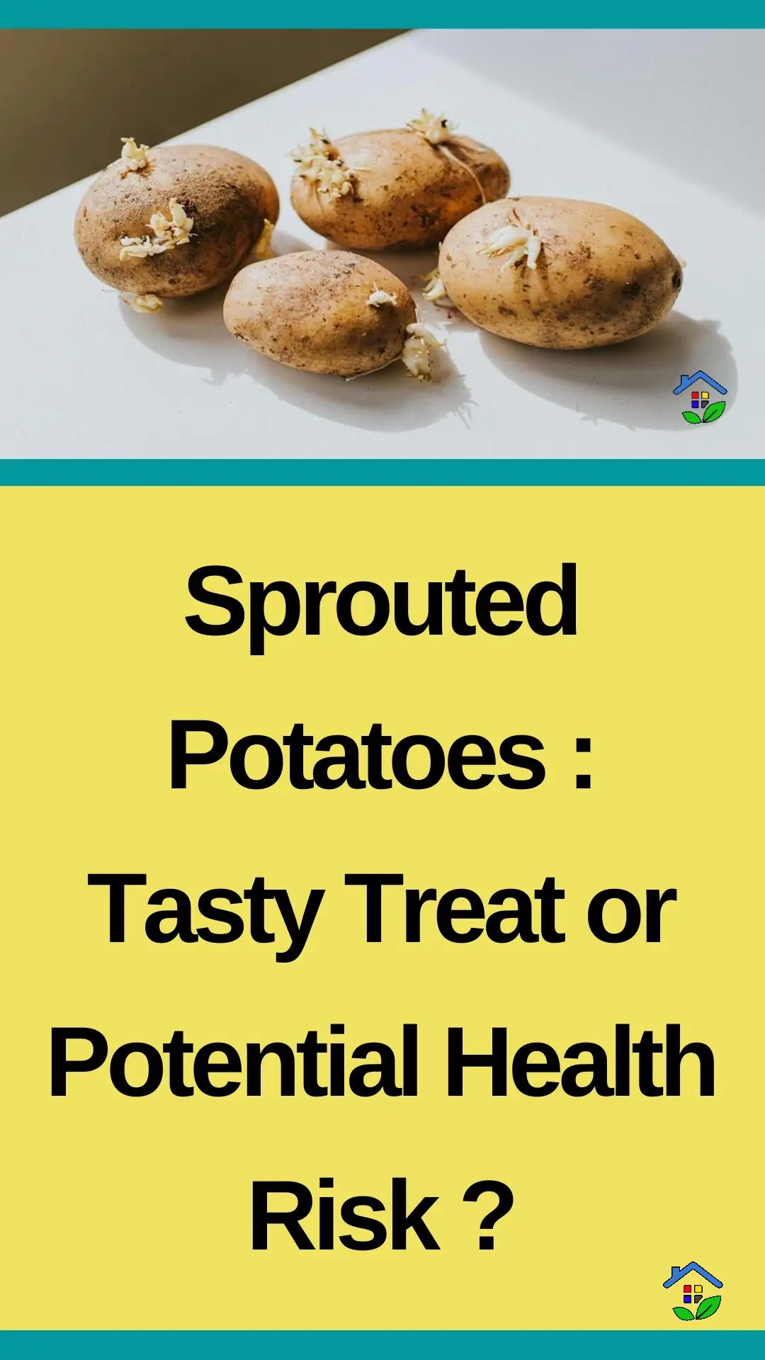 Sprouted potatoes: safe or sorry? What you need to know data-pin-id=938648747318400361