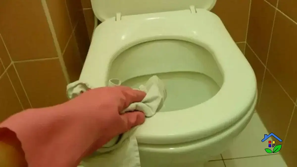 Flush Away the Stench Eliminate Urine Odor from Your Toilet