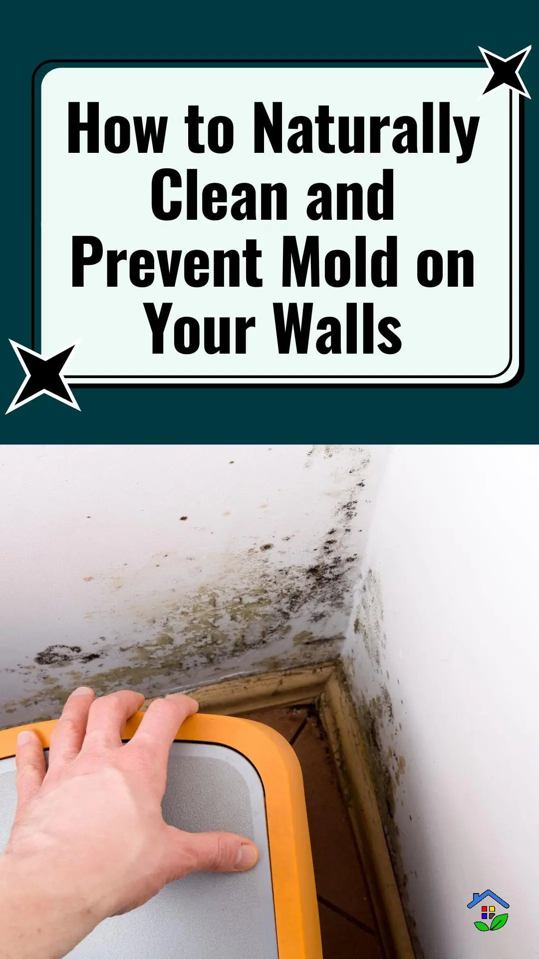 Eco-Friendly Ways to Remove and Prevent Mold on Walls
