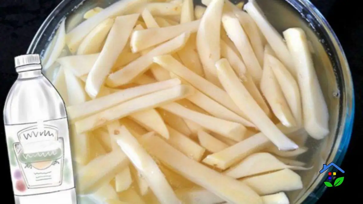 White Vinegar Your Key to Crispy French Fries