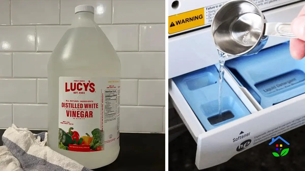 5 Key Benefits of Adding White Vinegar to Your Washing Machine