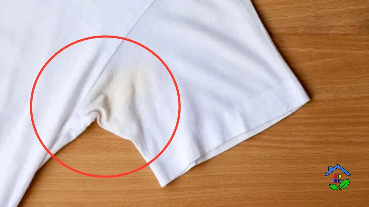 Whiter Than White Eliminate Yellow Stains from White Clothes